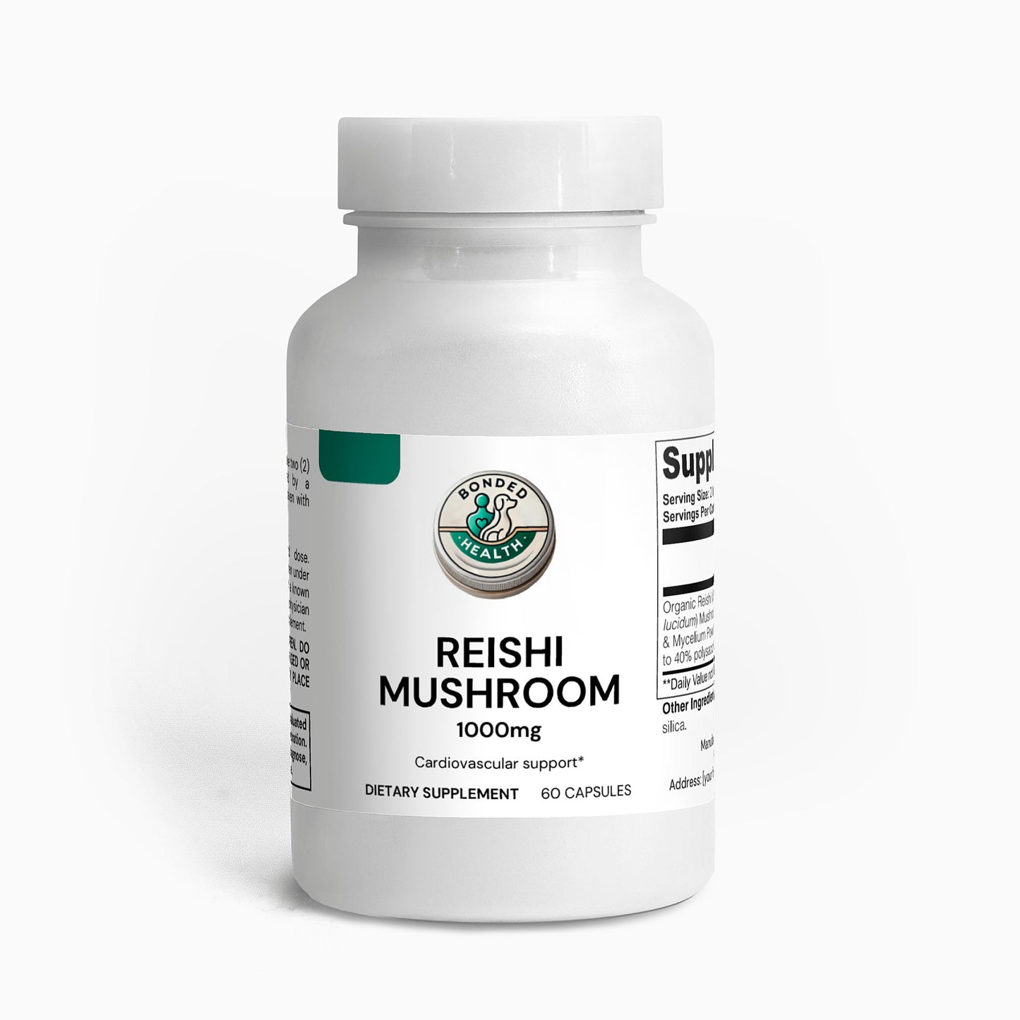 Reishi Mushroom