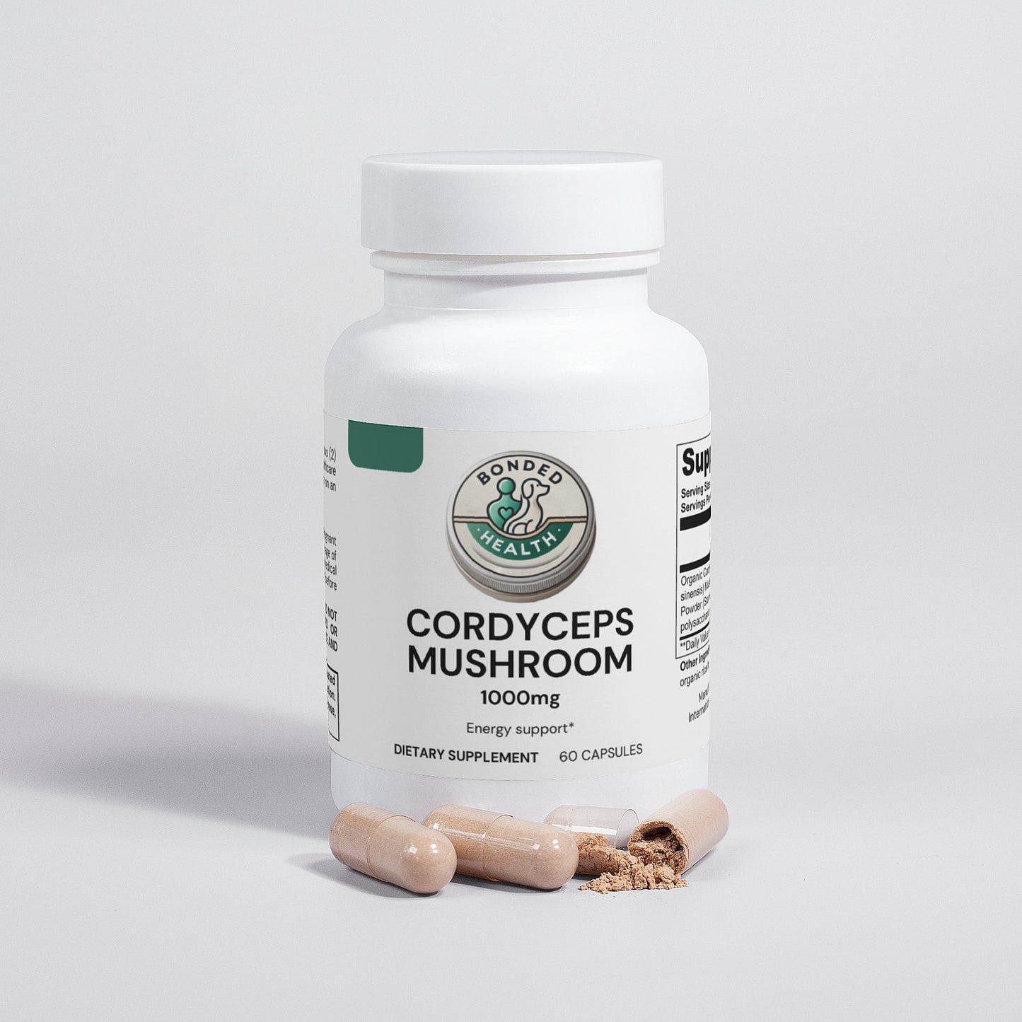 Cordyceps Mushroom